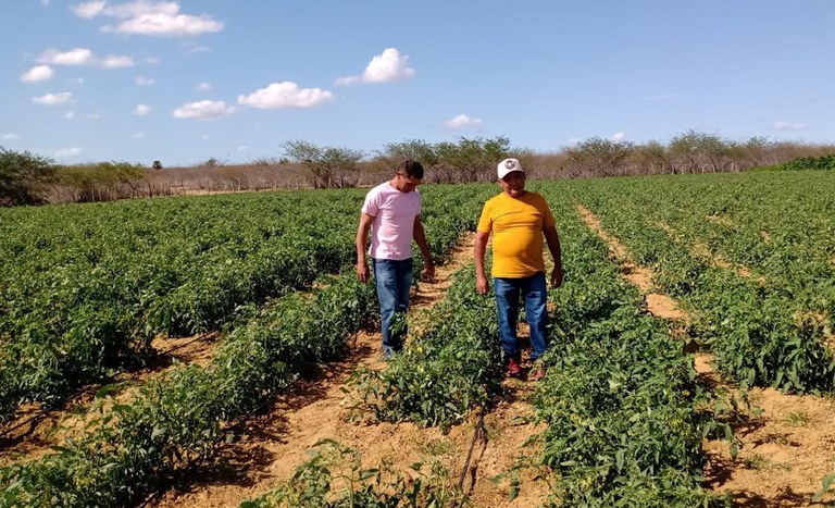 Reforma agrária atendeu mais de 11 mil famílias no RN em 2025