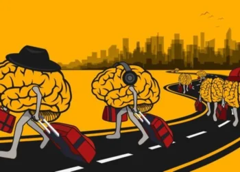 O RN forma profissionais — e exporta a maior parte deles