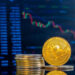 Mitos e verdades sobre criptomoedas: o que todo investidor iniciante precisa saber antes de investir