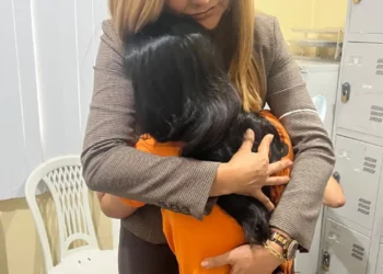 Brasil mantém taxa de impunidade em estupros de vulneráveis e sistema penal falha em converter denúncia em condenação