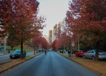 Outono começa amanhã: veja como vai ser a estação em todas as regiões do Brasil