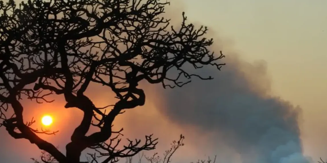 Seguro rural encolhe e expõe produtores do semiárido potiguar ao risco climático