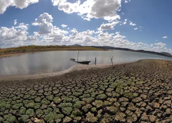 Com quase todo o estado em emergência, RN transforma a seca em rotina administrativa
