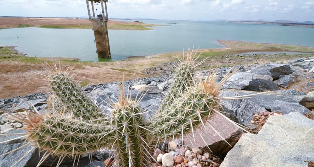 Governo do RN decreta situação de emergência por seca em todos os municípios, exceto Natal