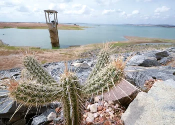 Governo do RN decreta situação de emergência por seca em todos os municípios, exceto Natal