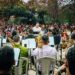 Parque das Dunas retoma programação cultural com ‘Bosque Encena’ e ‘Som da Mata’