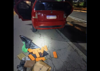 [VÍDEO] Dois homens são presos com mais de 8 kg de drogas em abordagem da PRF na BR-304