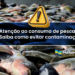 Semana Santa: Prefeitura de Panamirim alerta para risco de intoxicação pelo consumo de pescados