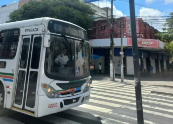 Pacote de gratuidades no transporte público de Natal é aprovado na Câmara