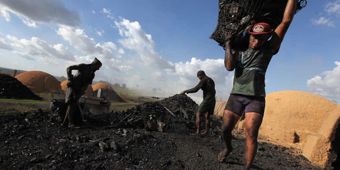 Vergonha: lista de trabalho escravo cresce e expõe mais de 600 empregadores no Brasil