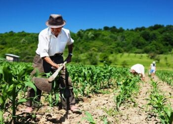 Brasil marca hoje (17) o Dia Nacional de Luta pela Reforma Agrária