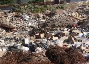 A cidade que não fiscaliza: como terrenos abandonados geram custo coletivo em Natal