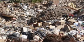 A cidade que não fiscaliza: como terrenos abandonados geram custo coletivo em Natal