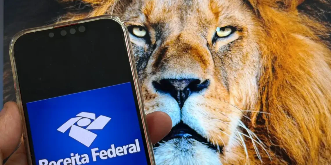 Receita abre consulta a lote da malha fina do Imposto de Renda