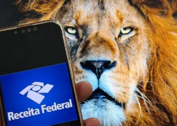 Receita abre consulta a lote da malha fina do Imposto de Renda