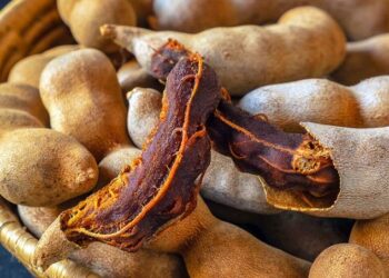 Estudo da UFRN aponta que semente de tamarindo pode ajudar no controle da glicose