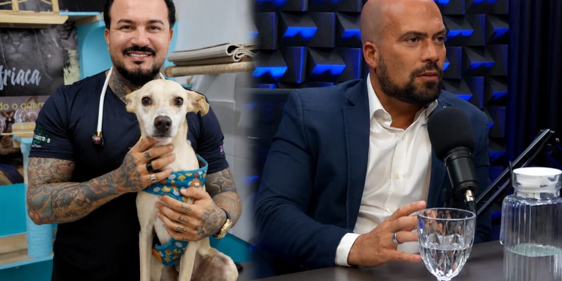 Fogos das festas juninas ampliam sofrimento de cães e gatos e preocupam veterinários
