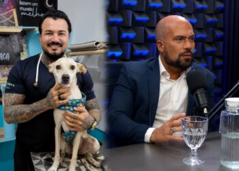 Fogos das festas juninas ampliam sofrimento de cães e gatos e preocupam veterinários