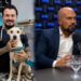 Fogos das festas juninas ampliam sofrimento de cães e gatos e preocupam veterinários