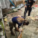 Mulher de 18 anos é presa suspeita de maus-tratos contra cachorros em Natal
