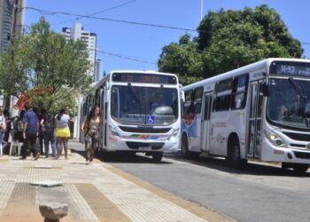 Natal cria nova linha e amplia operação de ônibus gratuitos aos domingos