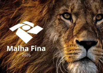 Falhas no eSocial levam servidores à malha fina do Imposto de Renda