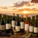 Sextou? Conheça os 10 melhores vinhos nordestinos para a sua degustação