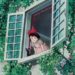 Live-action de clássico do Studio Ghibli estreia no cinema brasileiro com outras obras; Distribuidora anuncia novas estreias