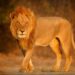 Mais da metade dos contribuintes do RN ainda não enviou o Imposto de Renda