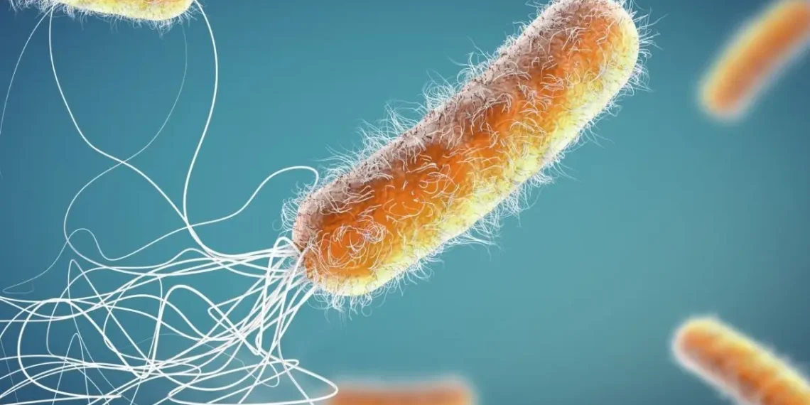 Bactéria encontrada em produtos da Ypê apresenta resistência a antibióticos