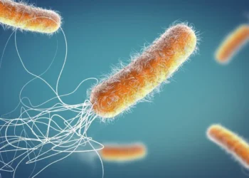 Bactéria encontrada em produtos da Ypê apresenta resistência a antibióticos