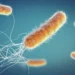 Bactéria encontrada em produtos da Ypê apresenta resistência a antibióticos