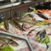 Venda de peixe despenca até 90% no RN após casos de ciguatera