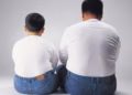 Estudo indica que obesidade paterna pode transmitir alterações metabólicas aos filhos