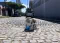Bueiro aberto é risco de acidentes na Zona Leste de Natal