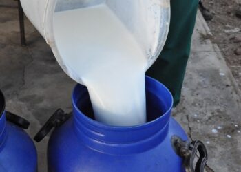 Emater-RN abre credenciamento de laticínios para PAA Leite