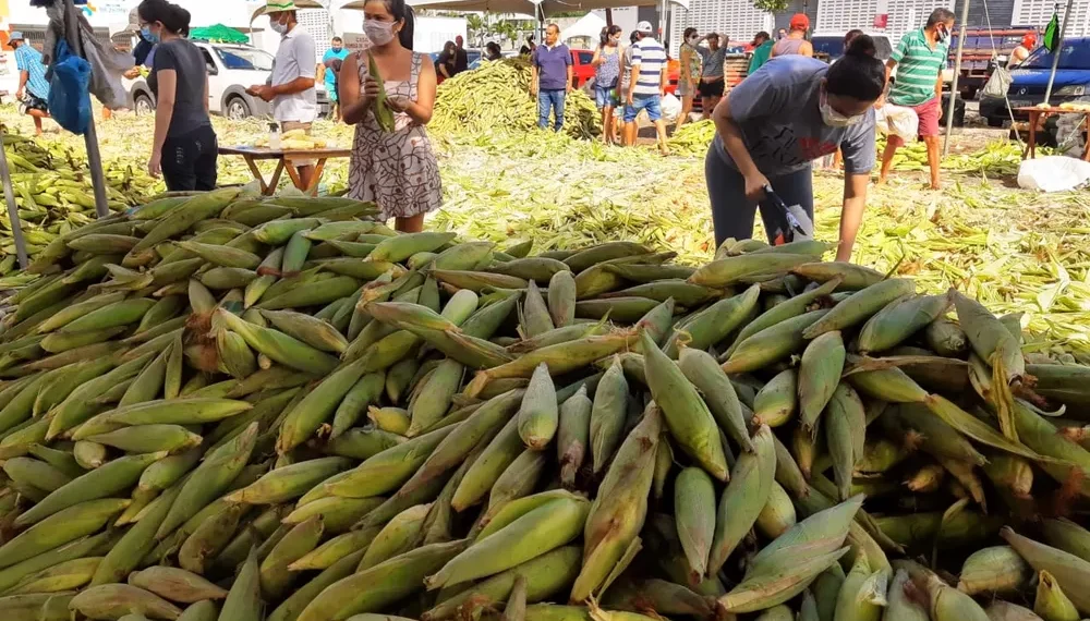 Impasse na Feira do Milho causa prejuízos a agricultores familiares do RN
