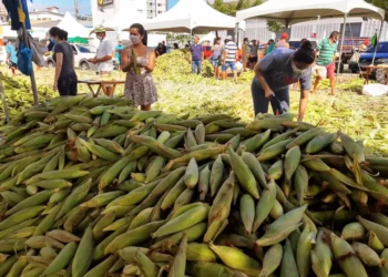 Impasse na Feira do Milho causa prejuízos a agricultores familiares do RN