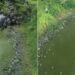 Peixes aparecem mortos em açude em Currais Novos; Igarn investiga