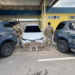 PRF apreende mais de 100 kg de maconha na BR-304 e prende motorista em Macaíba