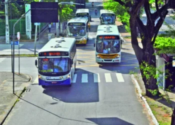 Edital da licitação do transporte terá de passar por novos ajustes, afirma STTU