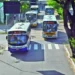 Edital da licitação do transporte terá de passar por novos ajustes, afirma STTU