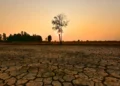 El Niño está de volta. Para o Nordeste, a pergunta não é se haverá impacto, mas qual será o tamanho dele