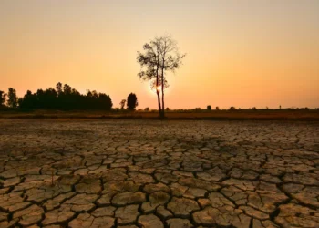 El Niño está de volta. Para o Nordeste, a pergunta não é se haverá impacto, mas qual será o tamanho dele