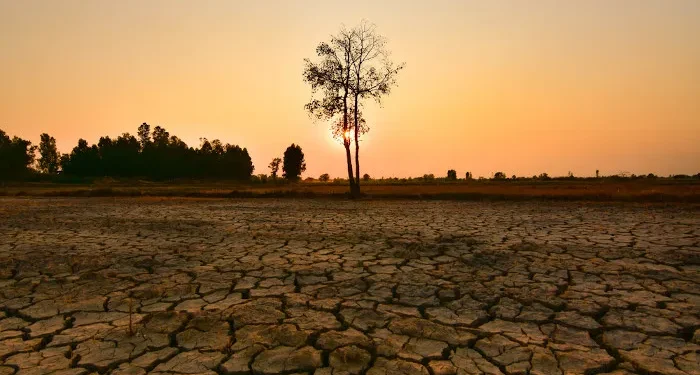 El Niño está de volta. Para o Nordeste, a pergunta não é se haverá impacto, mas qual será o tamanho dele