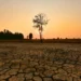 El Niño está de volta. Para o Nordeste, a pergunta não é se haverá impacto, mas qual será o tamanho dele