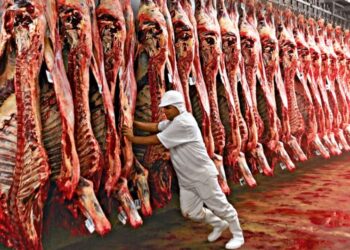 Veto europeu à carne brasileira acende alerta para o agronegócio do RN