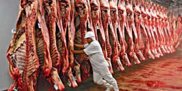 Veto europeu à carne brasileira acende alerta para o agronegócio do RN