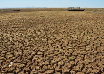 Desertificação avança além do Seridó e já atinge 62 municípios do RN
