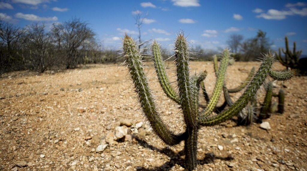 Governo Federal cria força-tarefa para enfrentar Super El Niño e acende alerta para o semiárido potiguar